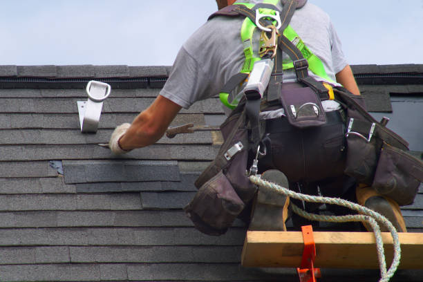 Best Roof Gutter Cleaning  in Halsey, OR