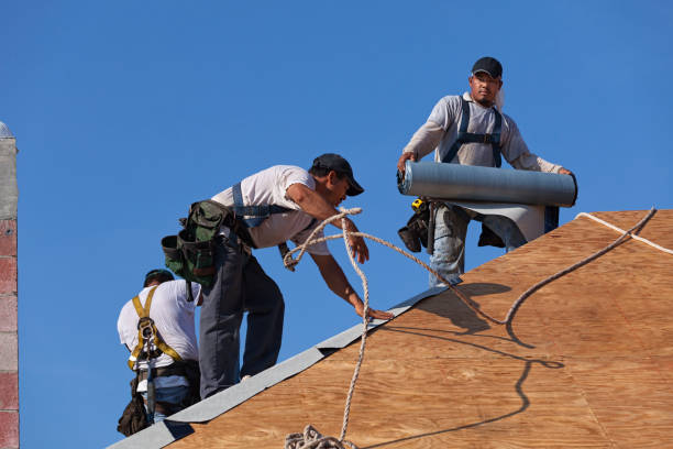 Best New Roof Installation  in Halsey, OR