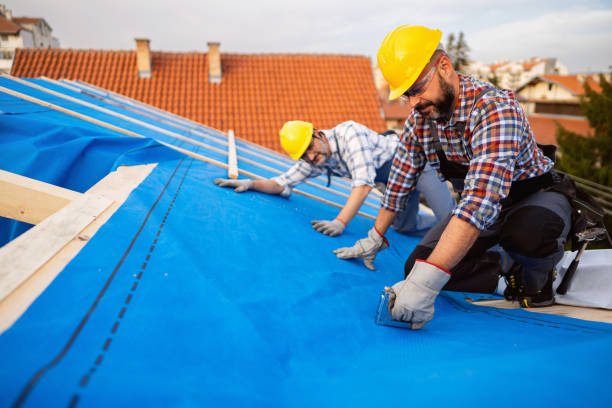 Best Roof Repair Services  in Halsey, OR