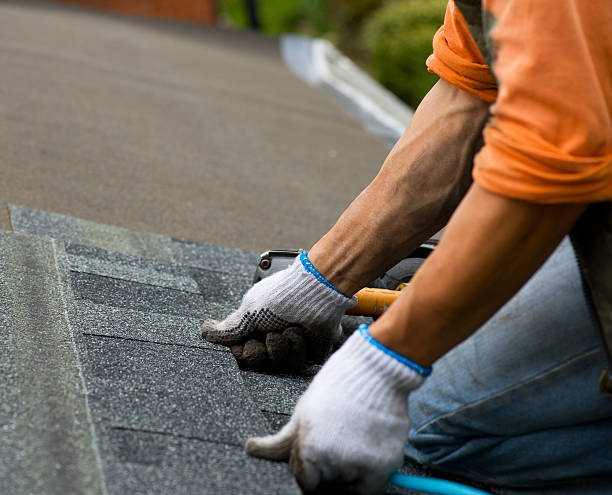 Best Metal Roofing Contractor  in Halsey, OR