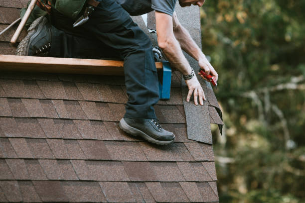 Best Gutter Installation and Roofing  in Halsey, OR